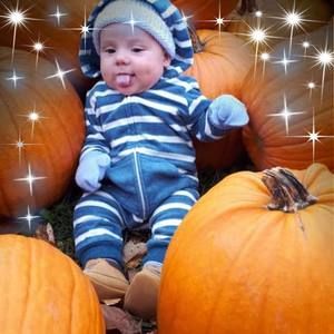 Meet your Posher, Debbie